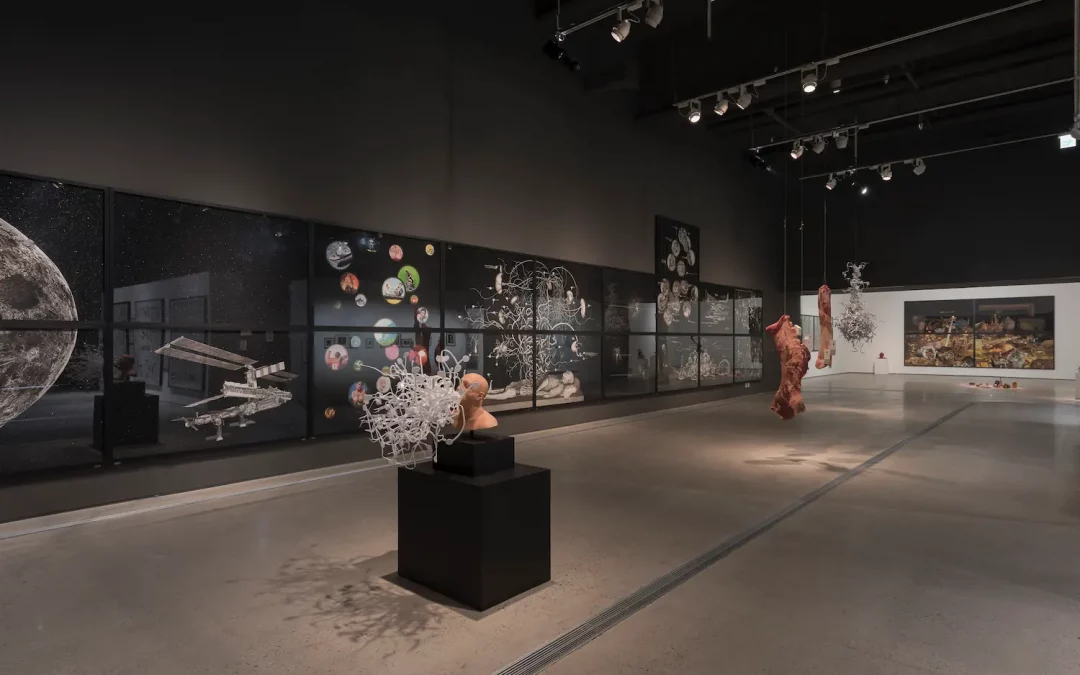 “Echo System”, MMCA, Seoul, South Korea, 2016. Curated by Gaël Charbau.
