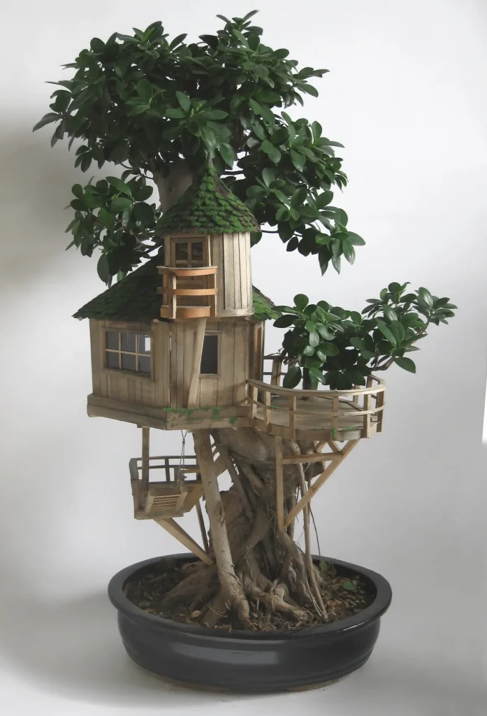 "Treehouse #2, 2009. Ficus benjamina.