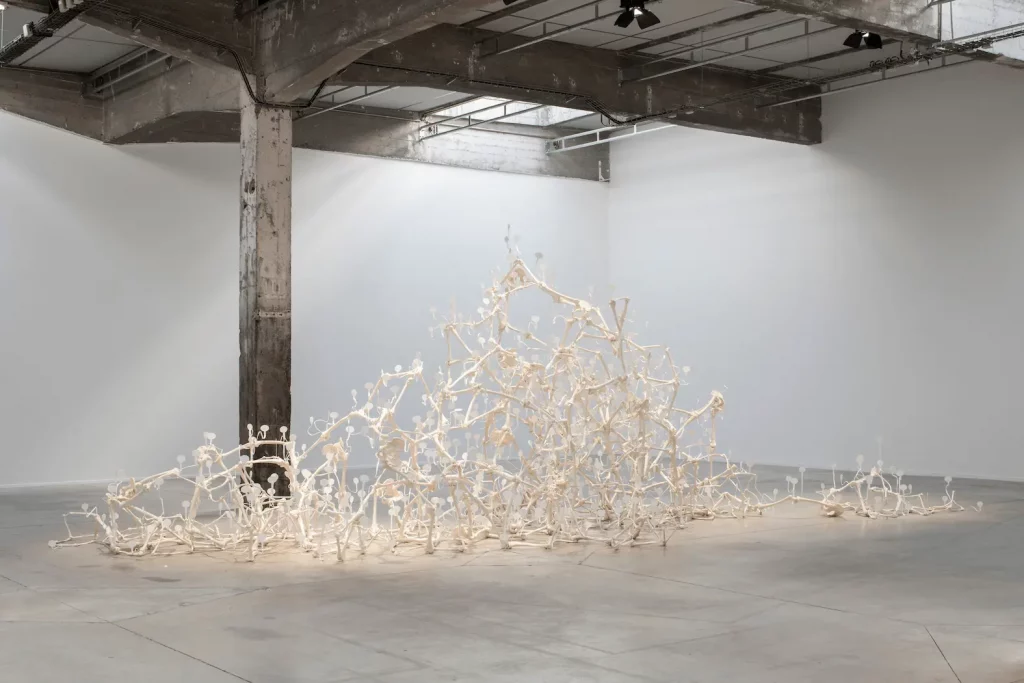 "Entre les Articulations le Langage", 2021. Os en résine et méthacrylate thermoformé. Dim. variable.